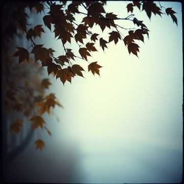 Cover of the song Дождь навевает грусть
