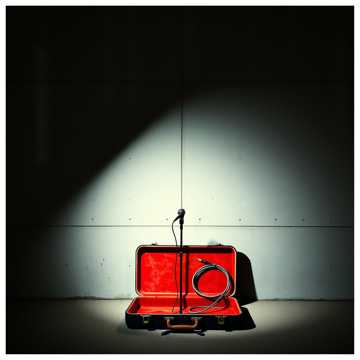 Cover of the song Rosnący Krzyk