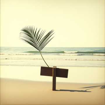 Portada de la canción le man de vilard leger retour a la source ile de la reunion