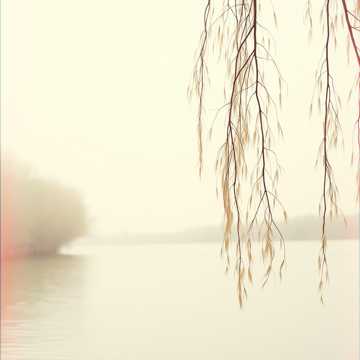 Capa da música 江浪湧，怨難休