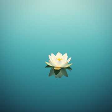 Cover of the song Inner Harmony