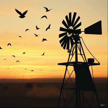 Copertina della canzone Manque Noir