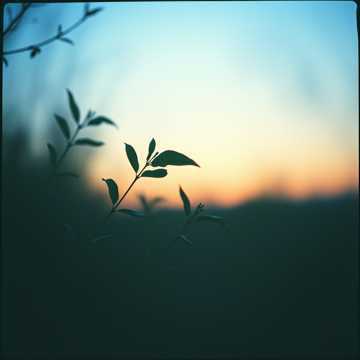 曲のカバー 정키