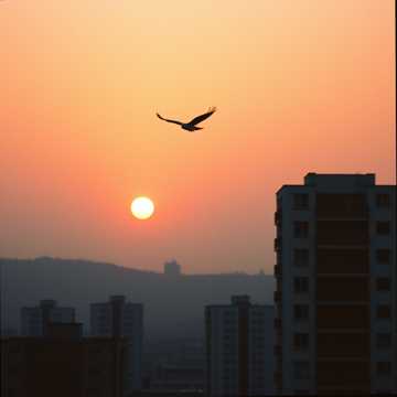 Cover of the song 我想下班