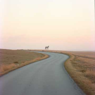 Cover av låten Не торопи меня!