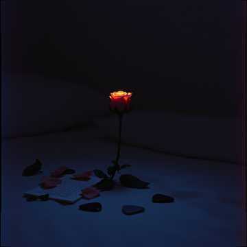 노래 표지 One Rose