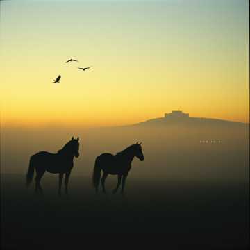 Cover of the song Die letzte Kriegerin (Dschingis Kahn) III