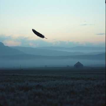 A dal borítója Die letzte Kriegerin (Die Finte)