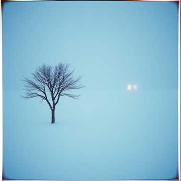 Bìa bài hát Mùa Đông Nơi Trái Tim