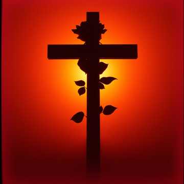 Cover of the song C
