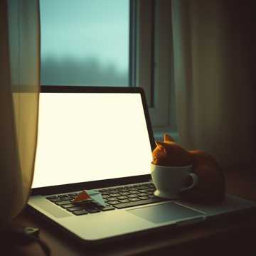 歌曲的封面Кохання моє (SMS)