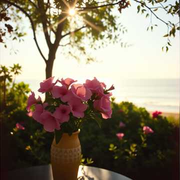 Portada de la canción мозаика