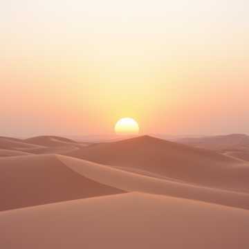 曲のカバー صباح الورد