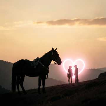Cover of the song Szeretlek
