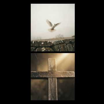 Cover of the song مصلوب