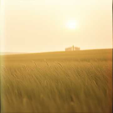 Кавер на песню LỜI THÌ THẦM CỦA CỎ (2)