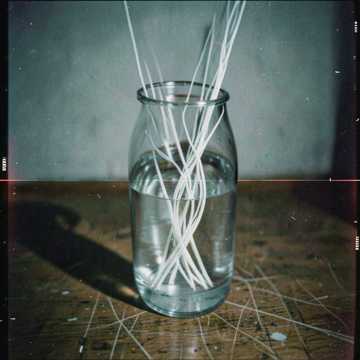 歌曲的封面Az izom váza
