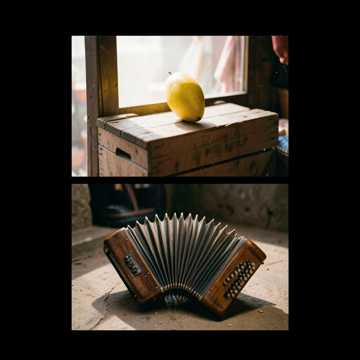 Cover of the song Sotto il Mango