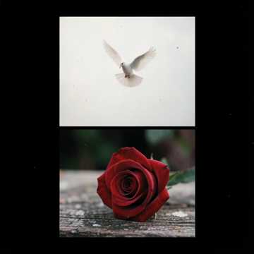Cover of the song Nuestro Amor a primera vista.
