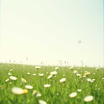 Cover of the song Tavaszi szél