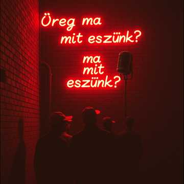 คัฟเวอร์เพลง Öreg, ma mit eszünk?