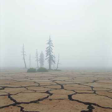 Cover of the song A.D.