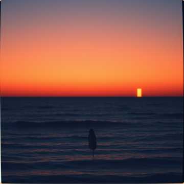 Cover des Liedes Pobre ilusa