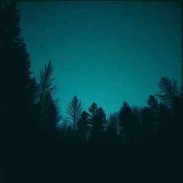 Capa da música дрымотна ціснуцца кусты пад цеплы бок дубровы ціхай.