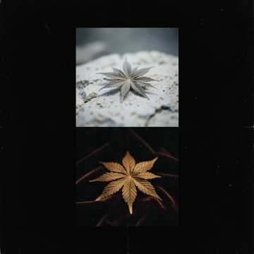 Cover utworu Marijuana
