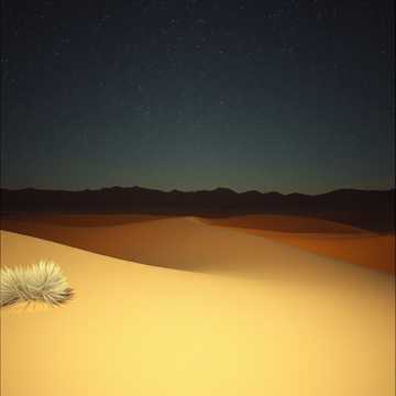 Capa da música Arabien