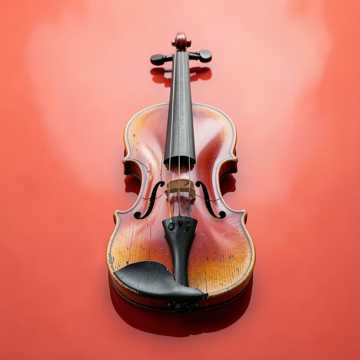 คัฟเวอร์เพลง Csip csip szuka