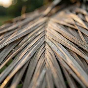 غلاف الاغنية Trở Về Với Mẹ Thôi