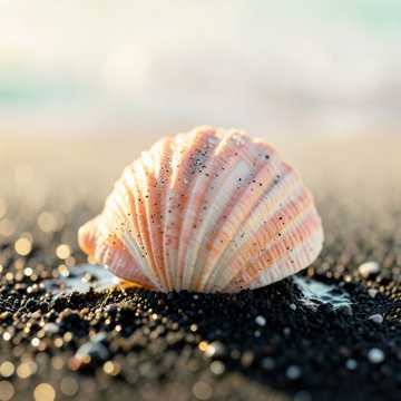 Capa da música Адема.