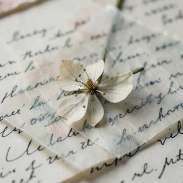 Capa da música Між рядками