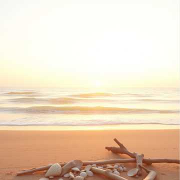 노래 표지 Summer Stays in Us