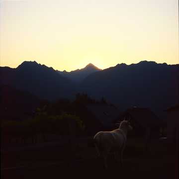 A dal borítója NJEGOS