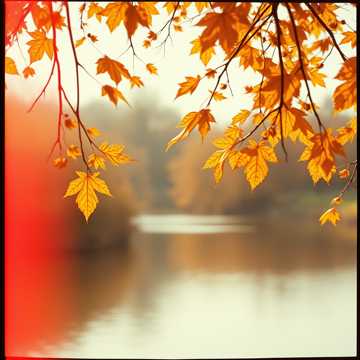 A dal borítója EL OTOÑO DE MI VIDA ESTOY VIVIENDO