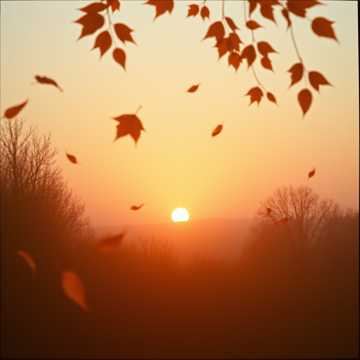 A dal borítója EL OTOÑO DE MI VIDA ESTOY VIVIENDO