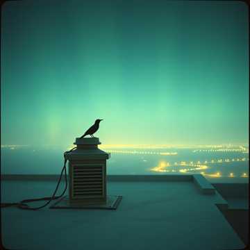 Bìa bài hát Абраше