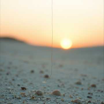 Capa da música Josefin