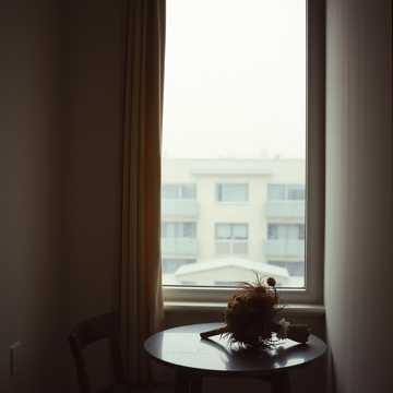 Capa da música Төрт қабырға