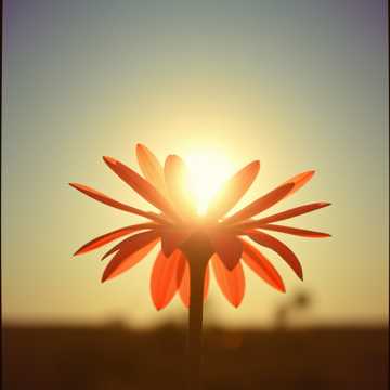 歌曲的封面Целуй меня 2.0