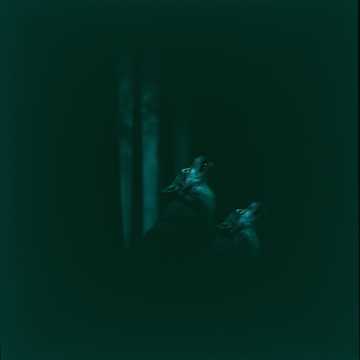 歌曲的封面Мара