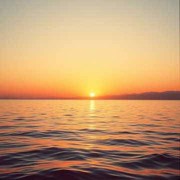 غلاف الاغنية Tận cùng yêu là thương