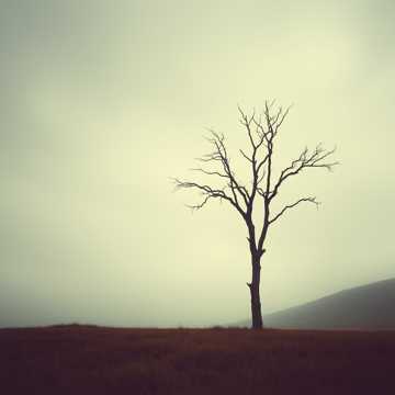 Cover utworu Уроки жизни