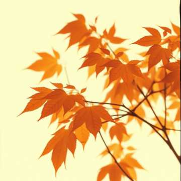 Cover av låten Любов чи біль?