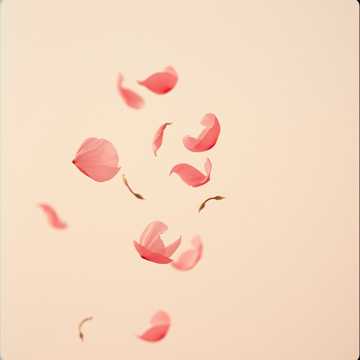 曲のカバー Mujer falaz