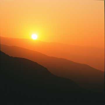 Capa da música الحلم السوري