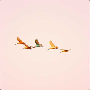 Portada de la canción Kita bertujuh