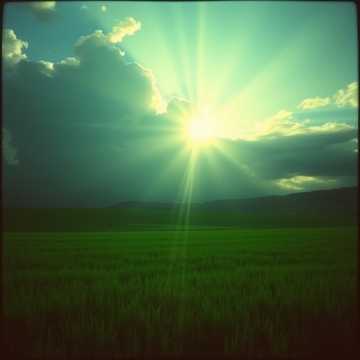 歌曲的封面Đứng lên sau cơn bão